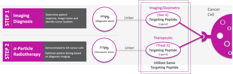 Theranostics_Graphic